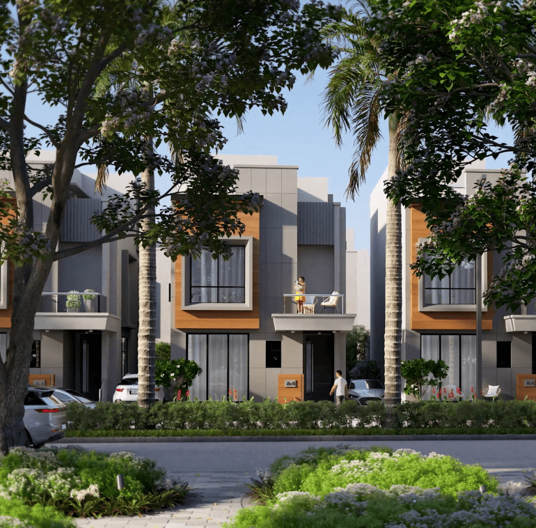 Project view